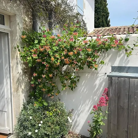 Le Chant Des Venelles - Maison & Son Annexe * Les Portes-en-Re