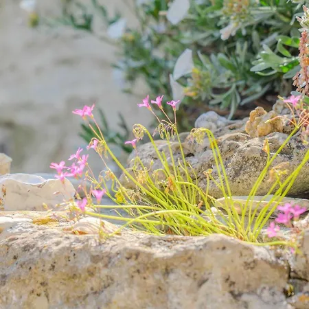 Casa de Férias Le Chant Des Venelles - Maison & Son Annexe *