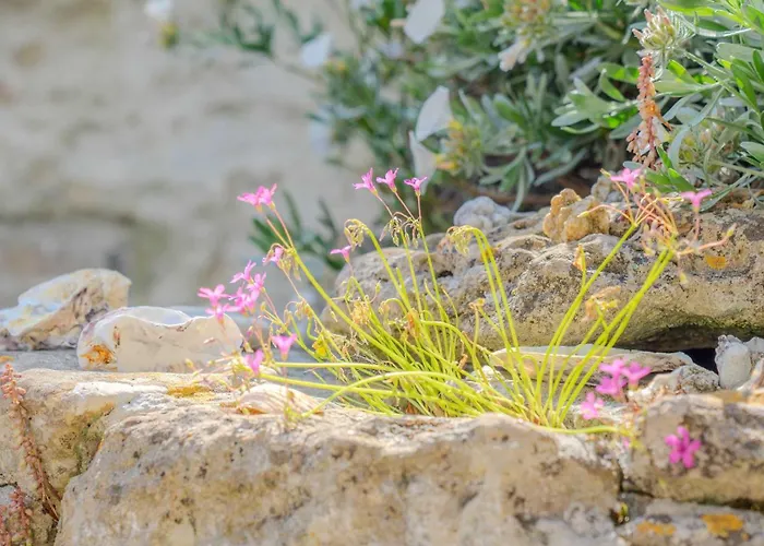 Сasa de vacaciones Le Chant Des Venelles - Maison & Son Annexe *